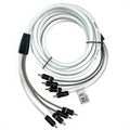 Garmin Fusion RCA Cables, 4 Channel, 12 ft Cable